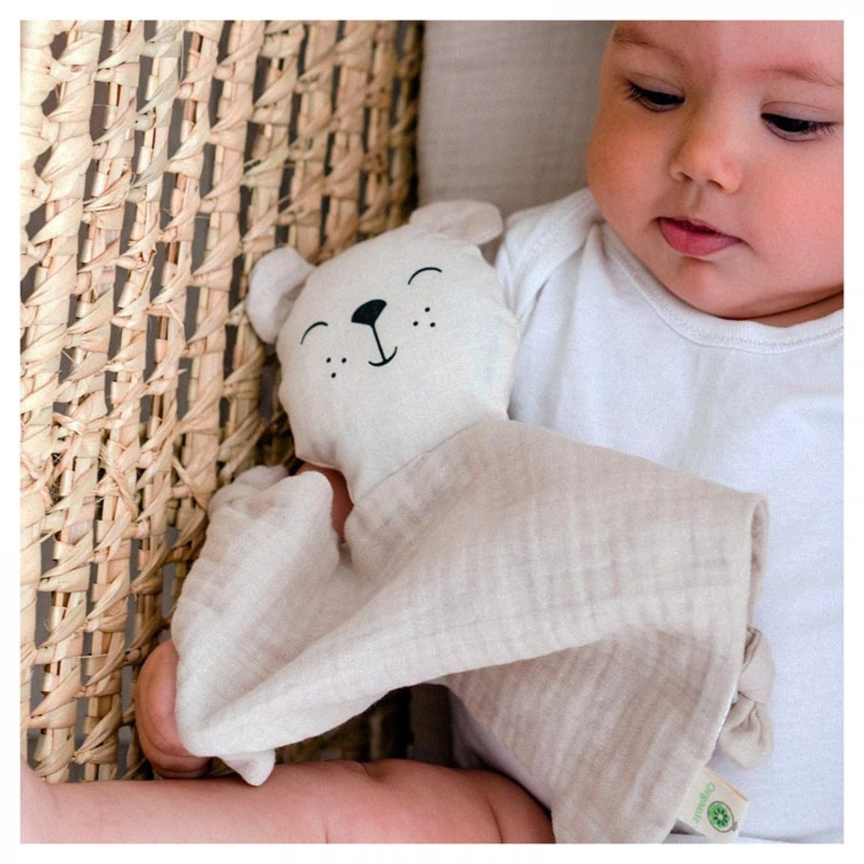 Doudou bébé Coton Bio point Mousse GOTS Ours polaire 33cm Fresk® -  Ekobutiks® l ma boutique écologique